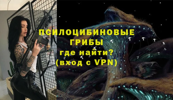 стаф Армянск