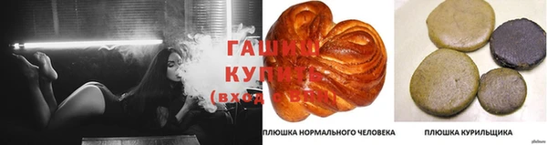 стаф Армянск