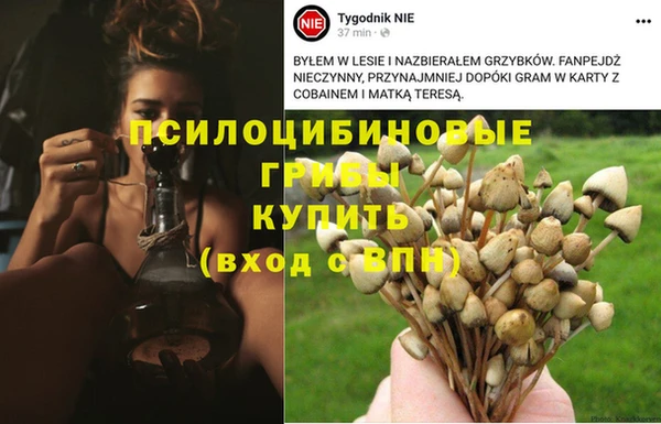 мескалин Аркадак