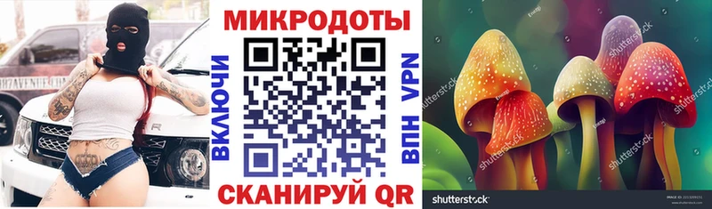 хочу   Змеиногорск  Галлюциногенные грибы Psilocybine cubensis 