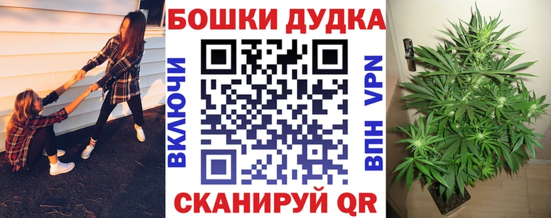 наркошоп  Змеиногорск  Конопля Amnesia 
